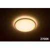 massive-led-stropni-svitidlo-philips-wawel-31823-31-p5-8718696162798-1-8718696162798-49538-(2).jpg