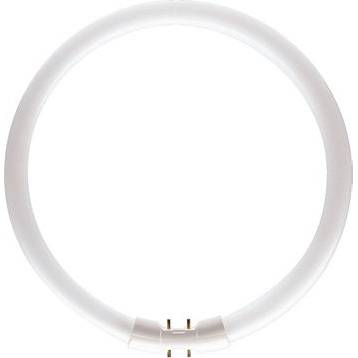 TL5 Circular 60W/830 Philips