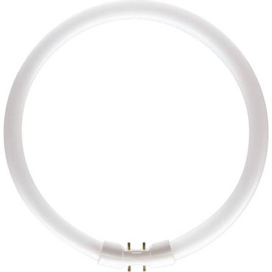 TL5 Circular 55W/830 Philips